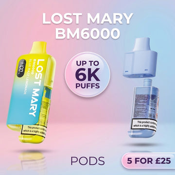Lost Mary BM6000 device and replacement pods
